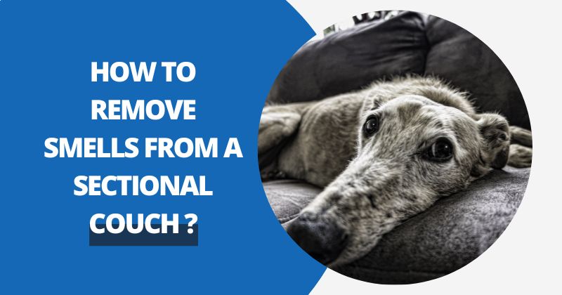 How To Remove Smells From A Sectional Couch ? | Comfy Covers